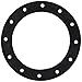 JAZ Products 850-301-01 12-HOLE FLANGE GASKET