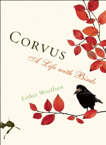 Corvus: A Life with Birds