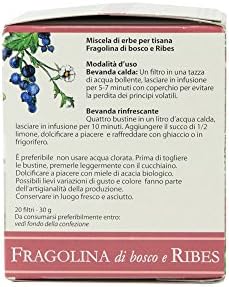 Valverbe - Fragolina di Bosco e Ribes - Italain Wild Strawberry and Currant Tea From Organic Farming 1.07 (30g) - Pack of 4