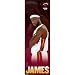 Miami Heat LeBron James Door Sports Poster Print - 21x62