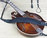 Musical Instruments : Neotech Mandolin Strap