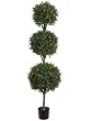 ONE 	78" Triple Ball-Shaped Boxwood Topiary in Plastic Pot Two Tone Green