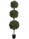 ONE 	78" Triple Ball-Shaped Boxwood Topiary in Plastic Pot Two Tone Green