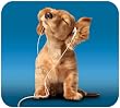 HandStands iPod Dog Deluxe Mouse Mat