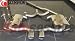 Mini Cooper S 1.6 16V 02-06 Scorpion Cat Back Exhaust System