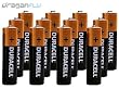 12 (Twelve) Alkaline AA Batteries For Your Transmitter