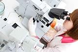 Working with Microscope in Lab - 24