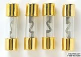 StreetWires AGU Type Glass Fuses 4-pack 10 Amp