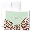 Season's Greetings Pinecones Greeting Card