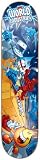 World Industries Fight Club skateboard decks