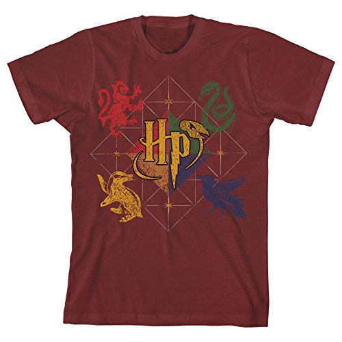 Harry Potter Hogwarts Animals Boys Youth T-shirt Licensed