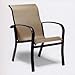 Alta Vista Sling Dining Chair Finish: Pecan, Fabric: Burlap Variation