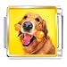 golden_retriever17golden retriever - Golden Retriever And Bone Animal Photo Italian Charms