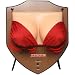 New Recordable Novelty Singing Dancing Jingle Jugs