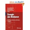 Energie aus Biomasse: Grundlagen, Techniken und Verfahren