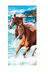 Review   / Ocean Horse Beach Towel