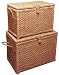Whitney Design ML-6102 Woven-Seagrass Storage Chests with Hinged Lids, Set of 2