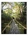 Path,