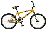2008 Mongoose Motivator FW 20" BMX Bike