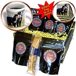 Dogs Bernese Mountain Dog - Bernese Mountain Dog - Coffee Gift Baskets - Coffee Gift... by 3dRose LLC