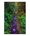 River Somewhere Emerging Artists Photographic Poster Print by Luke Kneale, 16x20
