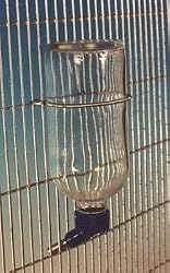Lixit Econo Glass Water Bottle 8oz LBG-8