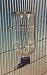 Lixit Econo Glass Water Bottle 8oz LBG-8