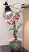 Hydrofarm Agrosun Dayspot Incandescent Grow Light 150watt