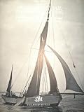 From coastal sail to global shipping : the history of the Steamship Mutual Underwriting Association Limited, 1909-2009