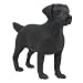 Medium Labrador Retriever (Black) Model