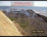 Duxbury Reef: Timeless Dance of the Bejeweled Tides