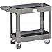41Uk7NrRslL. SL75  Rubbermaid 351556 Rubbermaid Heavy Duty Service  Utility Cart Medium