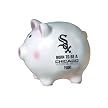 Chicago White Sox Born to be a Fan Piggy Bank