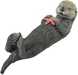 Sea Otter with Starfish