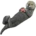 Sea Otter with Starfish