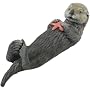 Sea Otter with Starfish