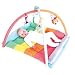 Early Learning Centre- Blossom Farm snug arch and quilt
