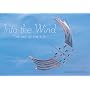Into the Wind: The Art of the Kite