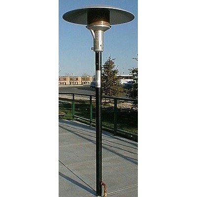 Permanent Natural Gas Patio Heater Color: Black