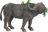 Cape Buffalo