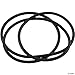 Waterway Plastics 805-0460 Clearwater Ii Lid O-Ring