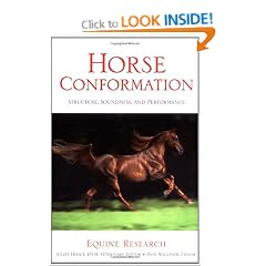 Horse Confirmation: Structure, Soundness, and Performance