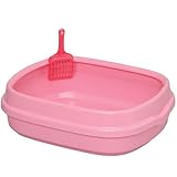 �A�C���X�I�[���} �l�R�̃g�C�� NE-550�i��j ������s���N