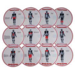 Muscle Group HotSpots (SET)
