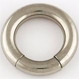 Stainless Steel Segment Ring: 6g 1/2
