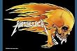Metallica,Skull & Flames, Fahne
