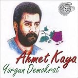 Yorgun Demokrat