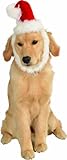 Rubies Costume Christmas Collection Pet Costume, Medium to Large, Santa Claus Hat and Beard