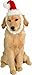 Rubie's Christmas Collection Santa Claus Hat and Beard for Pets, Medium to Large