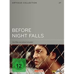 Before Night Falls